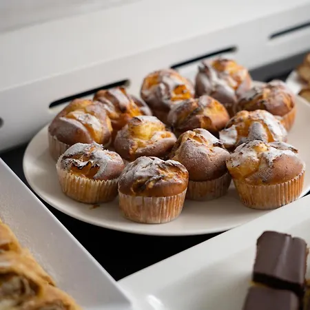 Srbija Garden-free Parking-upon Availability Hotel Belgrad